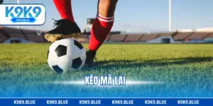 Kèo Mã Lai - Cách Đọc & Chiến Thuật Có Chiến Thắng